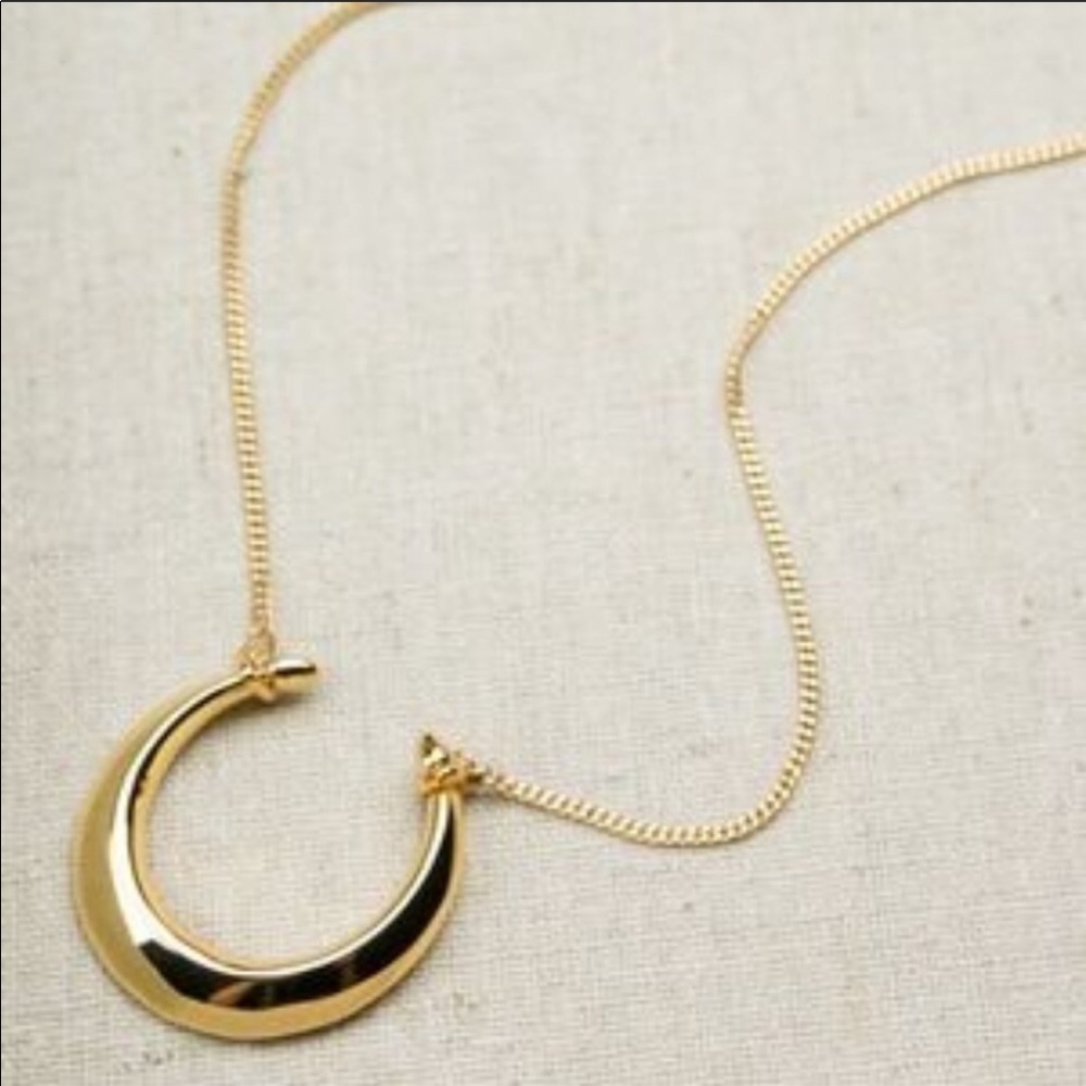 Stella and Dot double horn pendant necklace